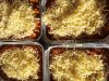 20201125_101507.jpg
