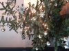 20201129_094211.jpg