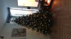 IMG-20201125-WA0004.jpeg