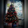 photocollage_2020112912739593.jpg