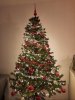 20201129_184626.jpg