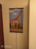 IMG_20201129_184355.jpg