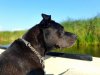 20201129_214601.jpg