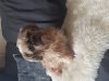 20190816_104926.jpg