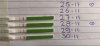 BD140E1F-FAE2-4282-860C-0B46DFA9BA08.jpeg