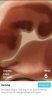 Screenshot_20201203-122605_Pregnancy+.jpg