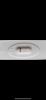 0182F178-6840-46EE-891D-73EC0E1C122B.png