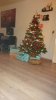 IMG-20201204-WA0005.jpeg