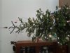 20201206_140410.jpg
