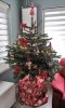 IMG_20201206_135324.jpg