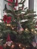 IMG_20201206_125553.jpg