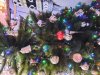 20201207_133215.jpg