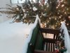 20201207_133044.jpg