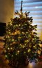 20201208_163604-01.jpeg