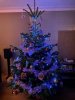 WhatsApp Image 2020-12-09 at 10.48.16.jpeg