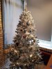 IMG_20201206_140307.jpg