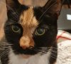 20201211_184428.jpg