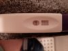 20201212_131055.jpg