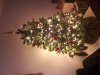 20181209_182323.jpg