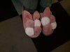 20201215_150503.jpg