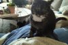 IMG_20201220_1124528.jpg