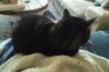 IMG_20201220_1128417.jpg