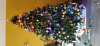 upload_2020-12-21_6-55-25.png