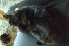 IMG_20201221_1119096.jpg