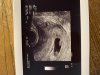 724B2527-0E00-4AC9-AC2D-2B66E9FF05EC.jpeg