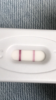 DD1A628F-353B-436A-825F-6C5E7009025A.png