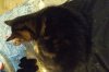 IMG_20201226_1554237.jpg