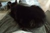 IMG_20201226_1335191.jpg