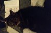 IMG_20201229_1801266.jpg