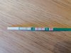 IMG_20201230_094205.jpg