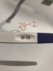 75F92767-04D1-4B56-9F4E-1EC649BD4B00.jpeg