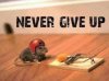 8299ECD6-F279-4D2F-946D-DEBB8DB5B69A.jpeg