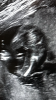 IMG_2307.PNG