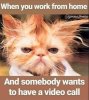 FB_IMG_1608629818532.jpg
