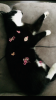 C66778D9-32A8-482F-A80E-B52726F5C2DF.png