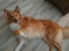 20201029_163556.jpg