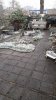 IMG-20210116-WA0003.jpg