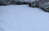 C61BA4B8-0BA5-453B-B659-EC09D72162AE.jpeg