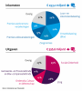2_inkomsten_uitgaven_percentages-1.png
