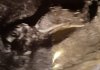 20210118_205649.jpg