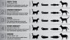 Cat-and-dog-body-score-chart.jpg