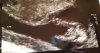 20210128_210527.jpg