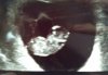 IMG_20210129_102840302~2.jpg