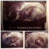 photocollage_2021129171739153.jpg