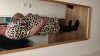 IMG-20210126-WA0023.jpeg