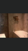 2F97E722-9787-48A9-9D1F-2147CF83FAF1.png